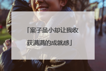 案子虽小却让我收获满满的成就感